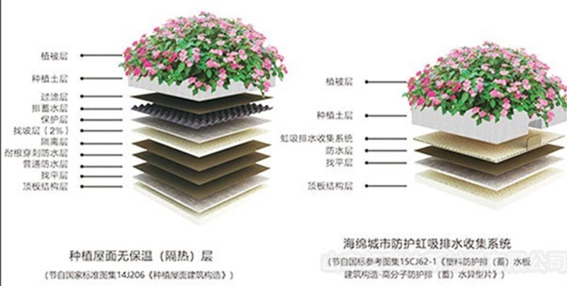 种植屋面排水系统——绿色屋顶的秘密武器