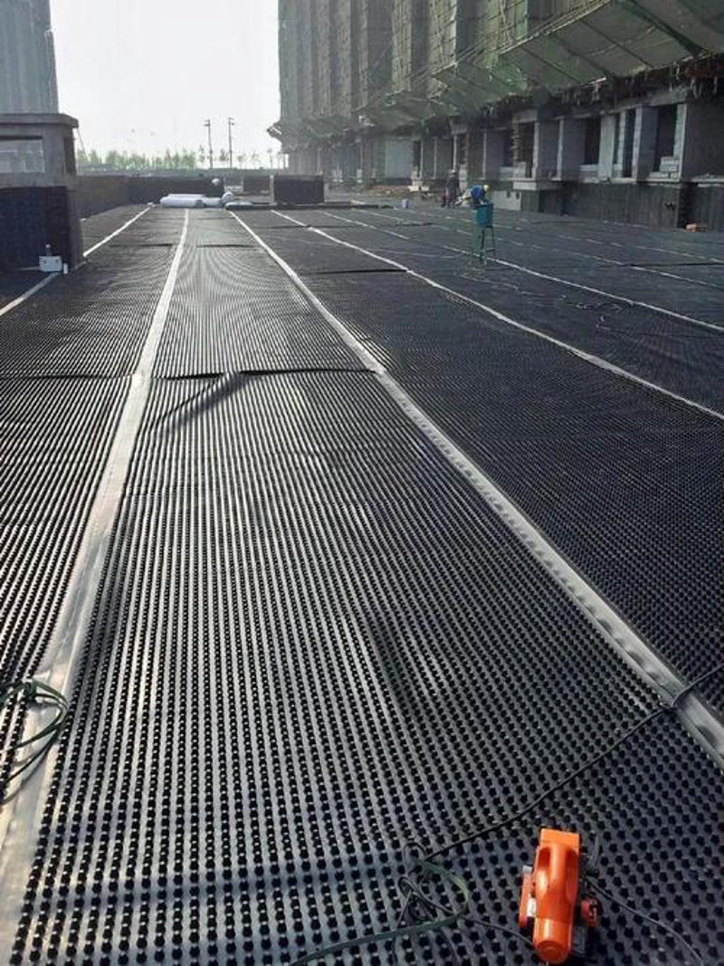 高分子防护排水异形片在现代建筑中的应用与趋势