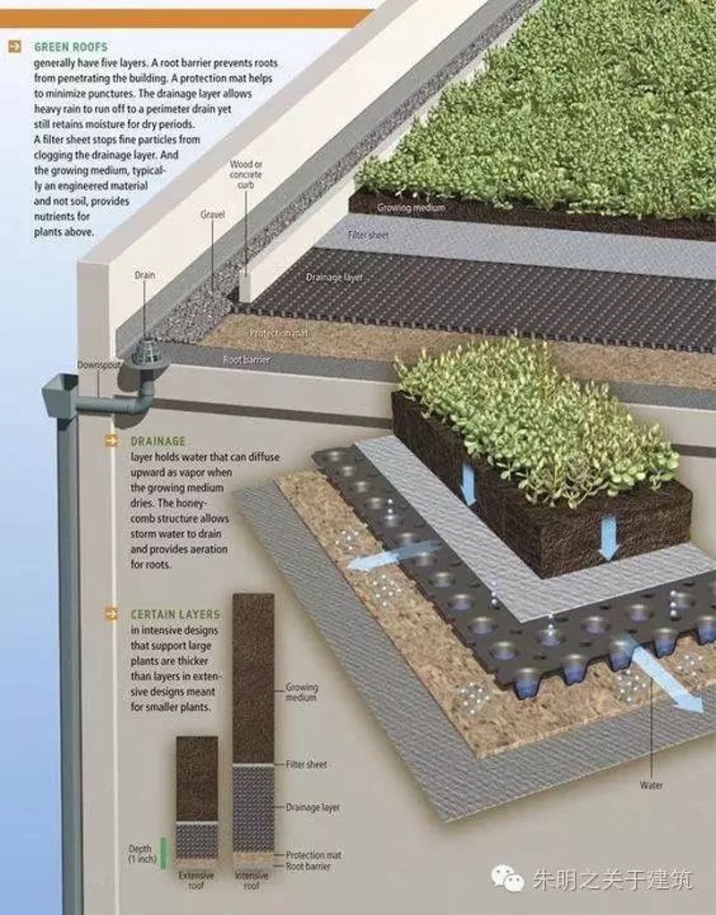种植屋面排水系统