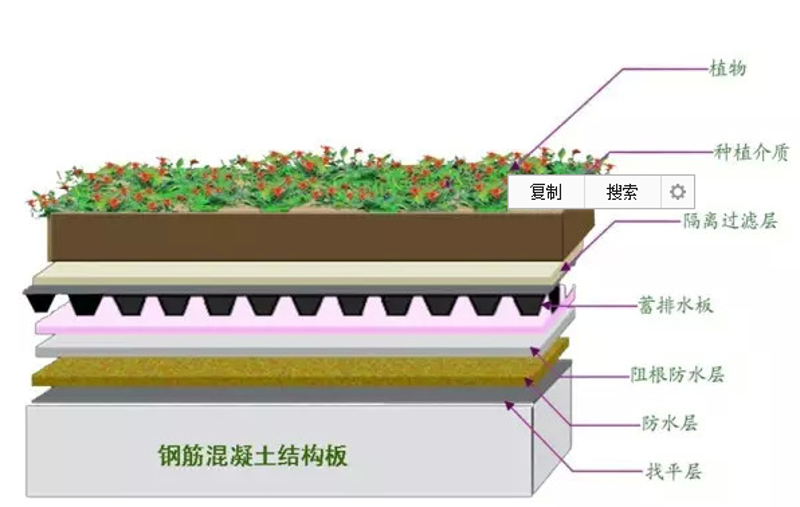 屋顶绿茵：种植屋面排水系统让建筑更智慧